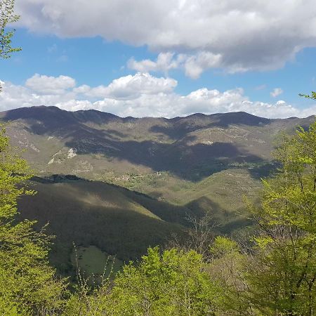 Alla Battuta 산세폴크로 외부 사진