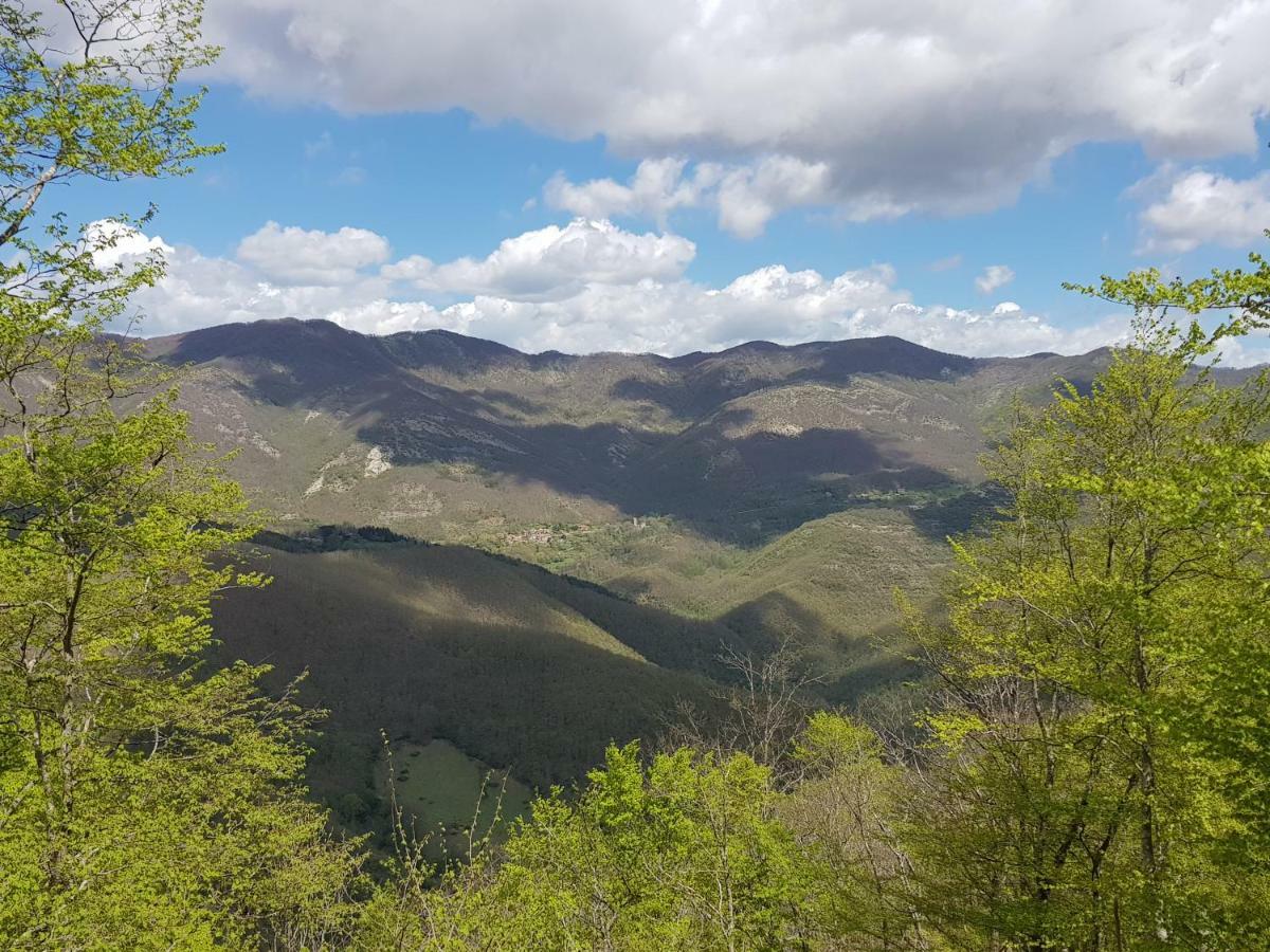 Alla Battuta 산세폴크로 외부 사진